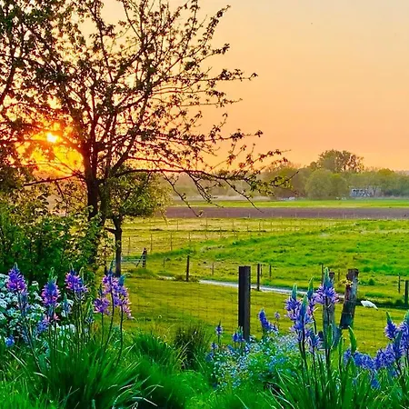 Bed & Breakfast B@b Martinushoeve Oudenaarde